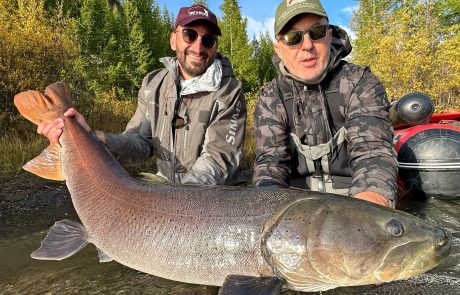 WhatsApp Image 2025-09-19 at 08.14.27_33328077