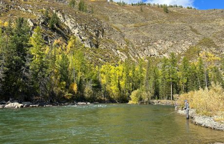 WhatsApp Image 2025-09-19 at 08.14.28_9a3c617d